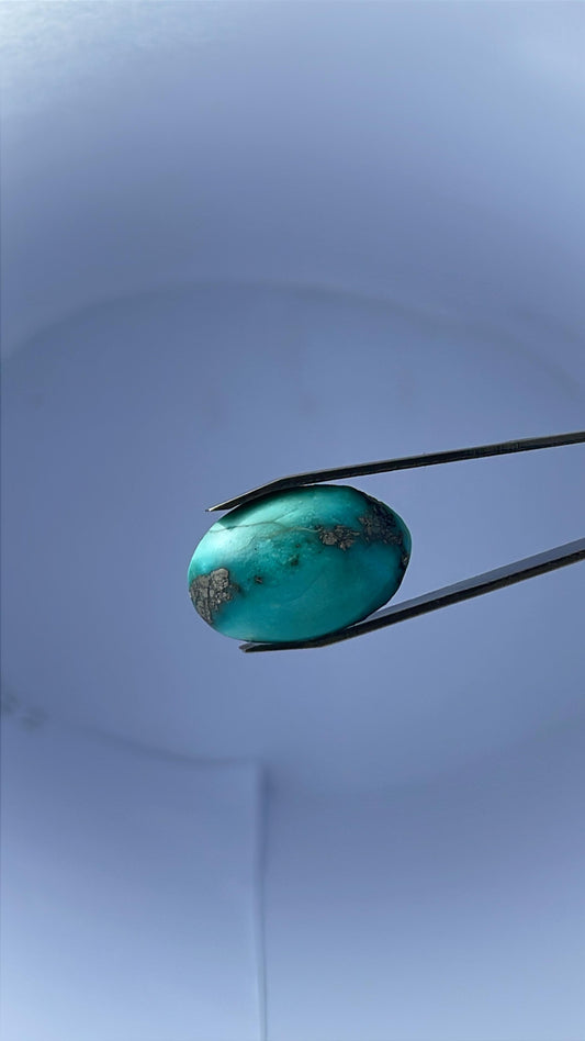 Turquoise Irani (Shajari Hussaini Feroza) 14C